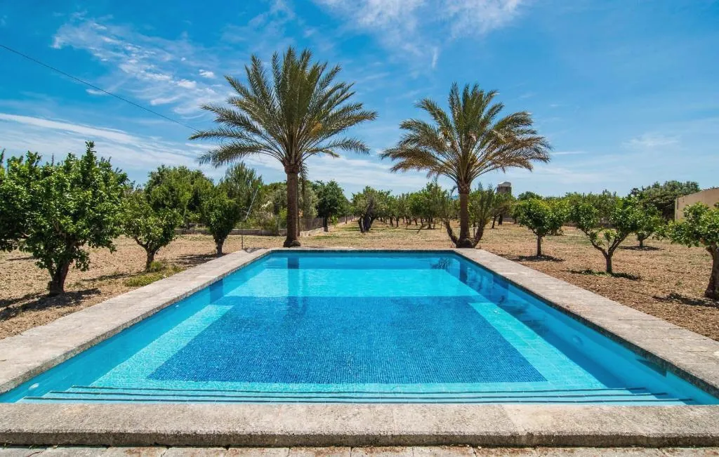 Pool surrounded by palms and Mediterranean planting
